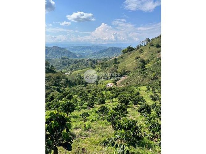 Finca en  Venta en Chinchiná - Miniatura 7