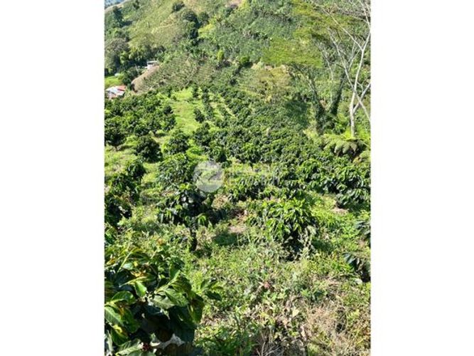 Finca en  Venta en Chinchiná - Miniatura 8