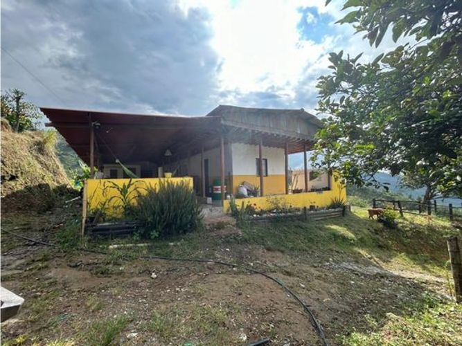 Finca en  Venta en Chinchiná - Miniatura 11