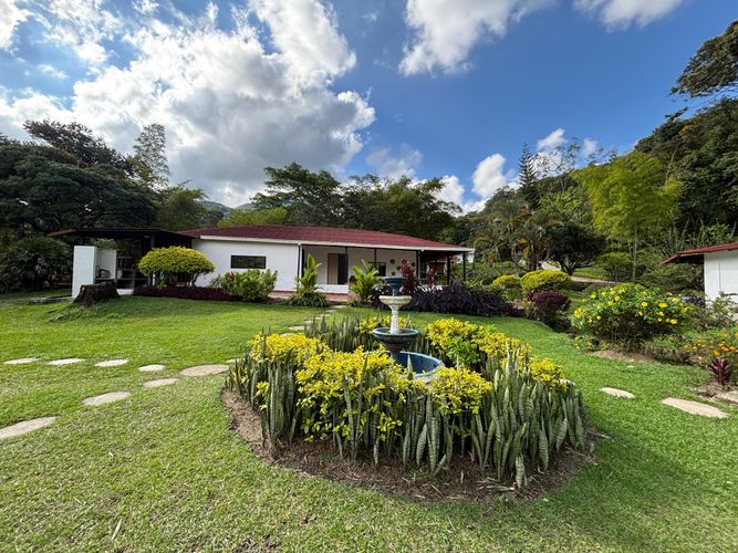 Finca en  Venta en San rafael - Miniatura 21