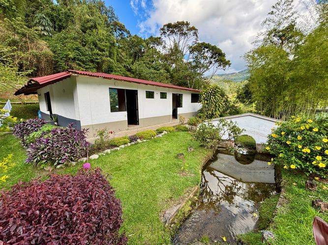 Finca en  Venta en San rafael - Miniatura 29