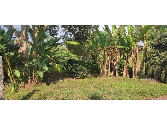 Finca en venta en Barcelona alta, Circasia - Miniatura 10