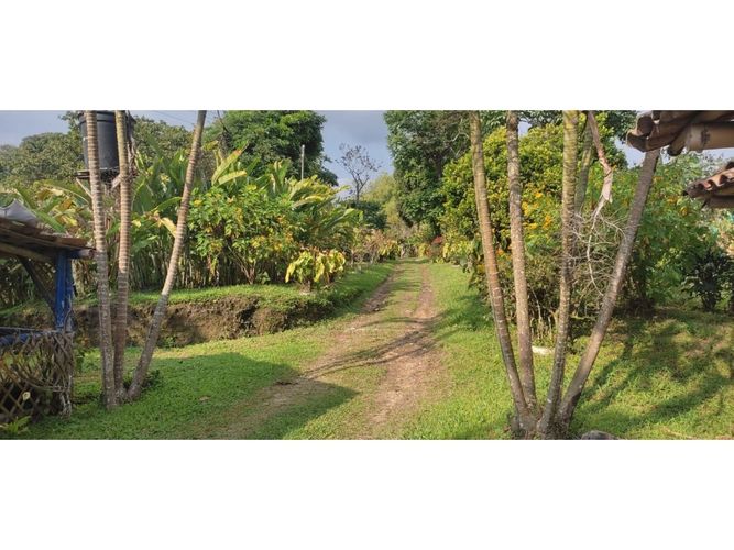 Finca en venta en Barcelona alta, Circasia - Miniatura 12