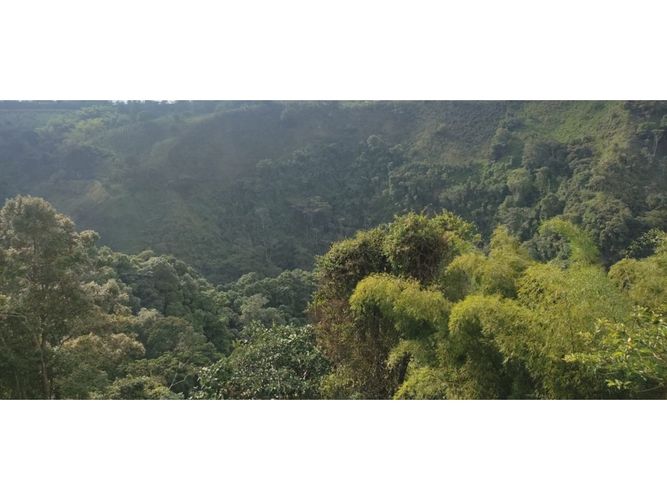Finca en venta en Barcelona alta, Circasia - Miniatura 21