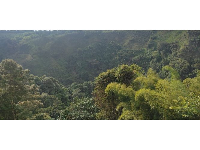 Finca en venta en Barcelona alta, Circasia - Miniatura 22