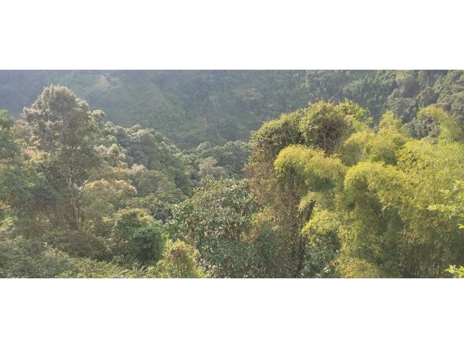 Finca en venta en Barcelona alta, Circasia - Miniatura 30