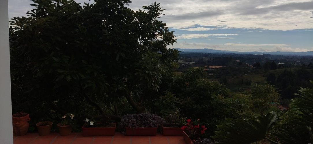 Finca en  Arriendo en San jose - Miniatura 3