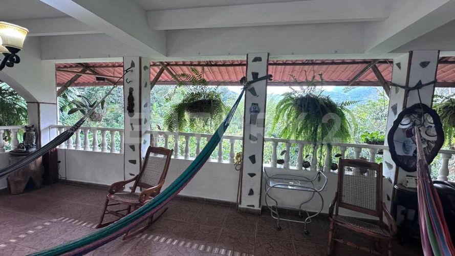 Finca en  Arriendo en San francisco - Miniatura 4