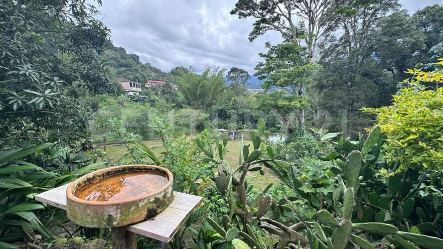 Finca en  Arriendo en San francisco - Miniatura 13