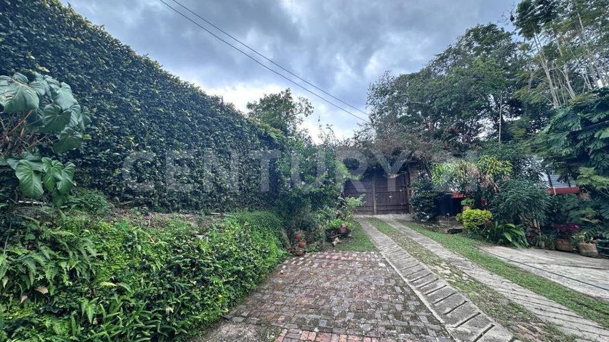 Finca en  Arriendo en San francisco - Miniatura 14