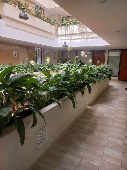 Oficina en  Arriendo en Santa Barbara, Bogotá - Miniatura 9