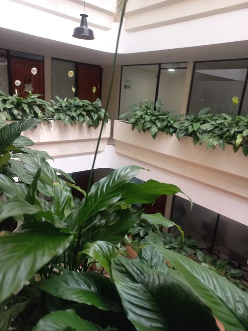 Oficina en  Arriendo en Santa Barbara, Bogotá - Miniatura 10