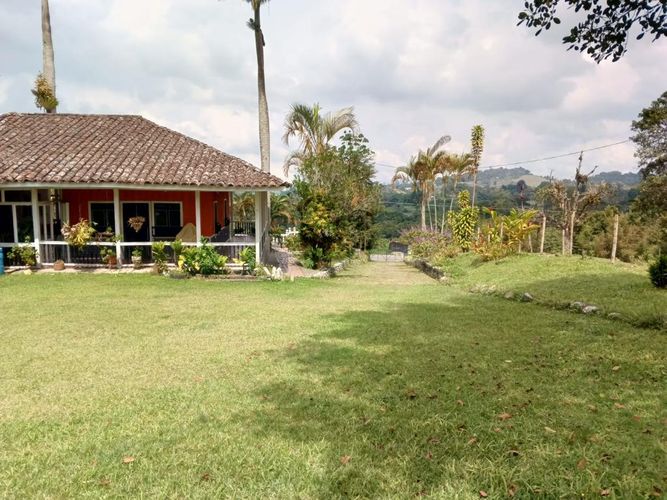 Finca en arriendo en La cumbre - Miniatura 20