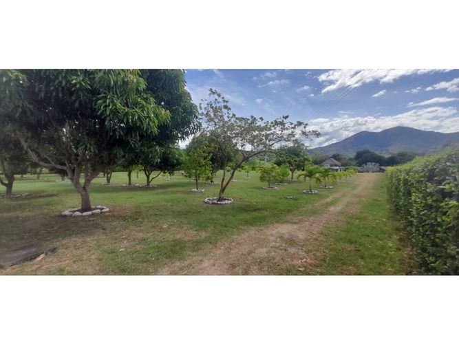 Finca en venta en Guasimal, Natagaima - Miniatura 2
