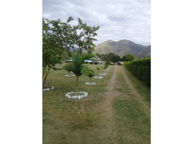 Finca en venta en Guasimal, Natagaima - Miniatura 7