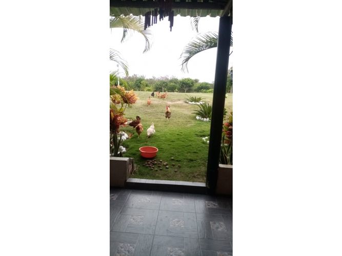 Finca en venta en Guasimal, Natagaima - Miniatura 8