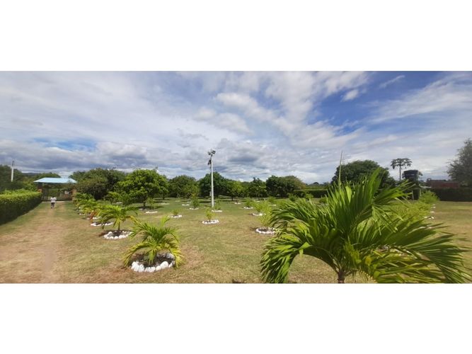 Finca en venta en Guasimal, Natagaima - Miniatura 9