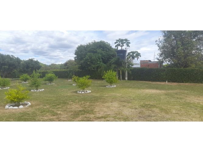 Finca en venta en Guasimal, Natagaima - Miniatura 10