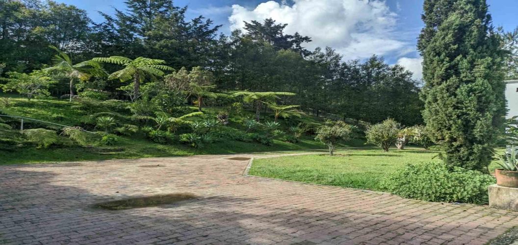 Finca en  Arriendo en El tambo, La ceja - Miniatura 26