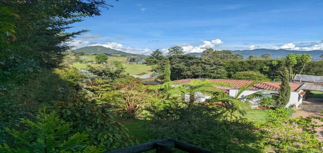 Finca en  Arriendo en El tambo, La ceja - Miniatura 27
