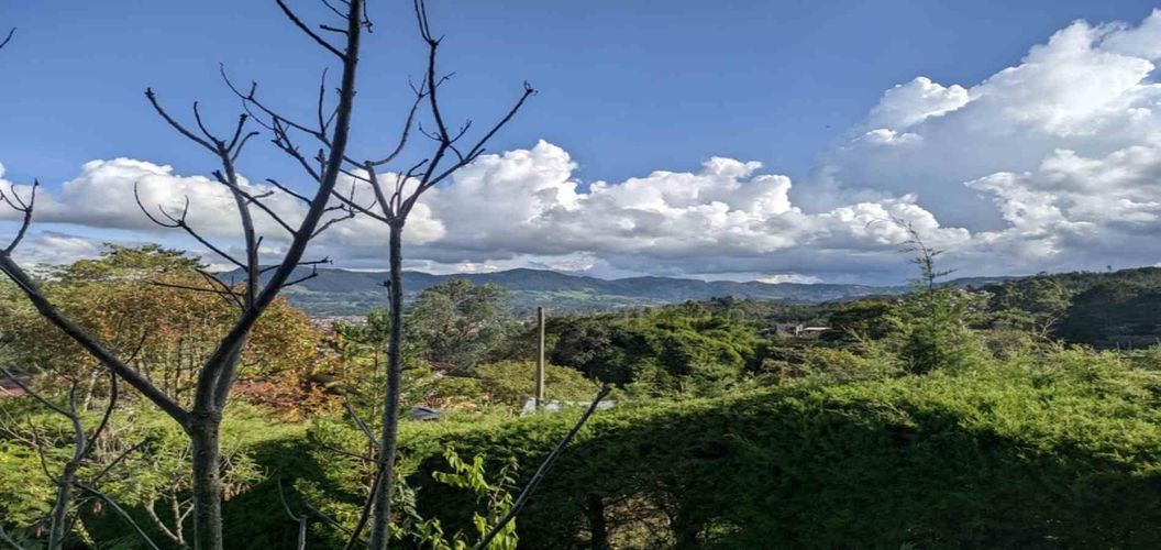 Finca en  Arriendo en El tambo, La ceja - Miniatura 28