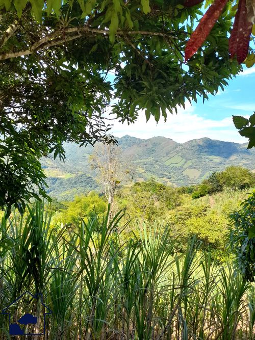 Finca en  Venta en Pacho - Imagen 1