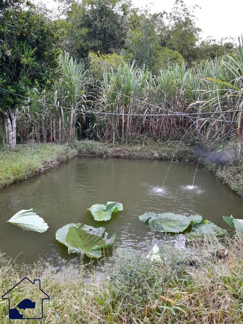 Finca en  Venta en Pacho - Miniatura 6