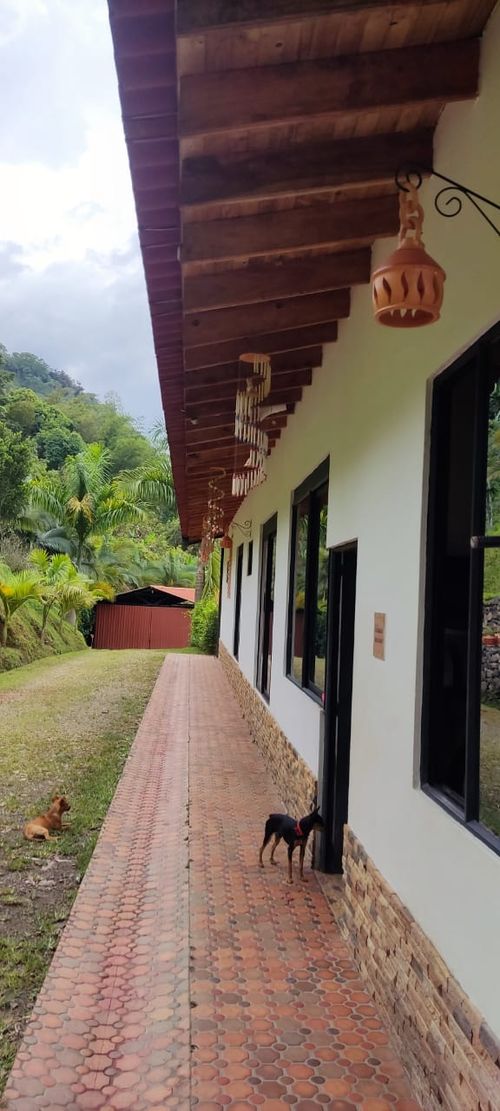 Finca en  Venta en La vega - Miniatura 21