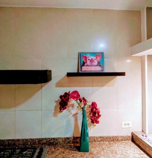 Apartaestudio en  Arriendo en Puerto colombia - Miniatura 3