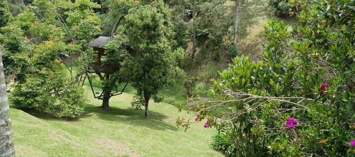 Finca en  Arriendo en El Retiro - Miniatura 9