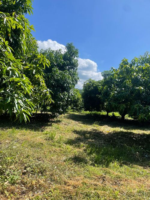 Finca en  Venta en La pola, Tocaima - Imagen 1