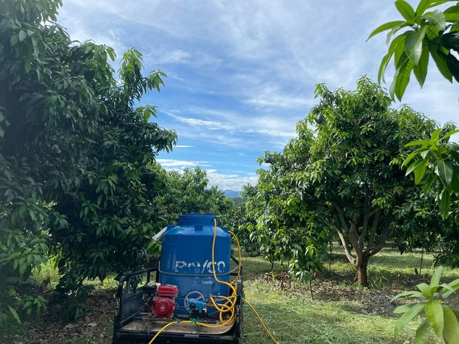 Finca en  Venta en La pola, Tocaima - Miniatura 6