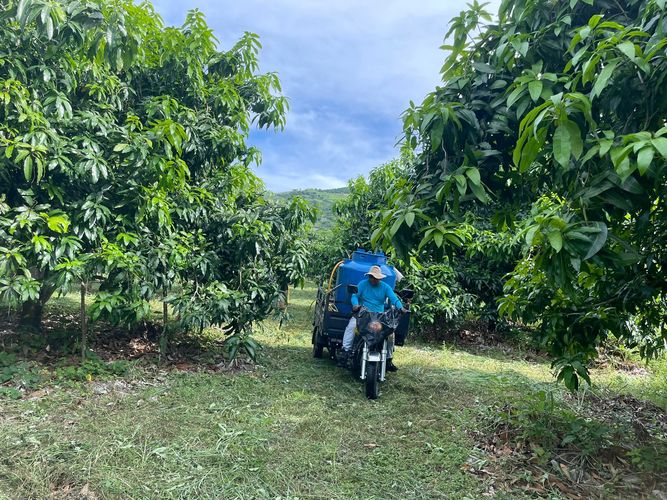 Finca en  Venta en La pola, Tocaima - Miniatura 9