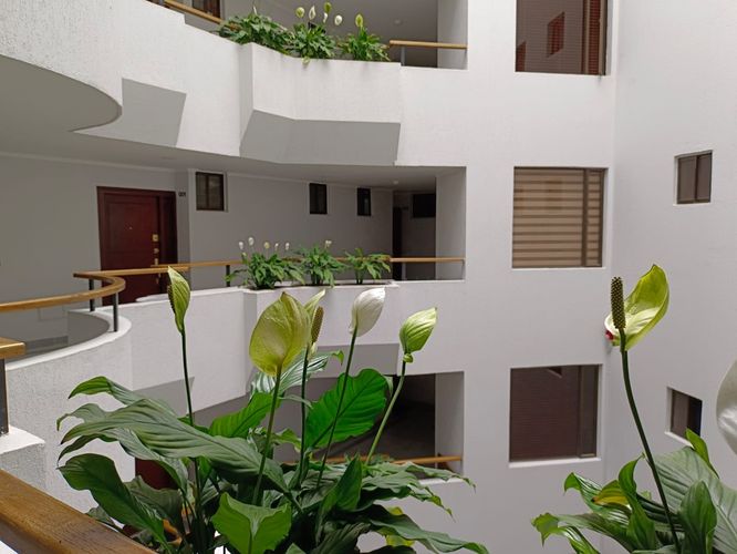Apartamento en  Venta en Multicentro, Bogotá - Miniatura 5