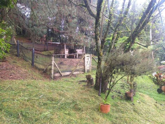 Finca en venta en Suroriente, Rionegro - Miniatura 7