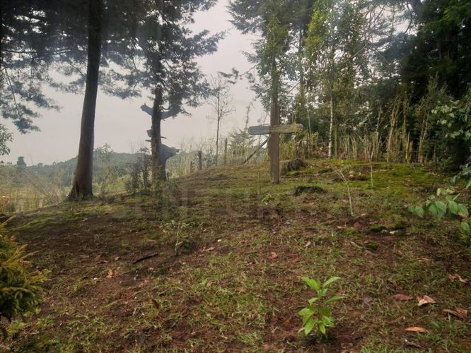 Finca en venta en Suroriente, Rionegro - Miniatura 9