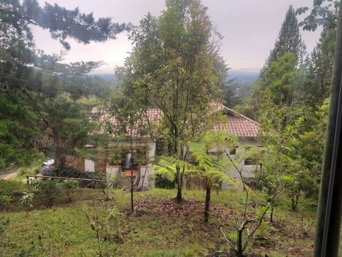 Finca en venta en Suroriente, Rionegro - Miniatura 10
