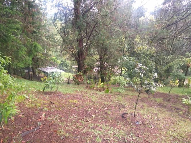 Finca en venta en Suroriente, Rionegro - Miniatura 11