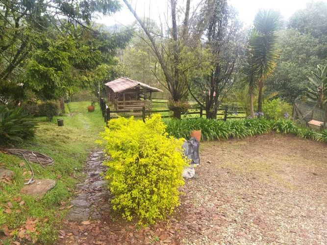 Finca en venta en Suroriente, Rionegro - Miniatura 12