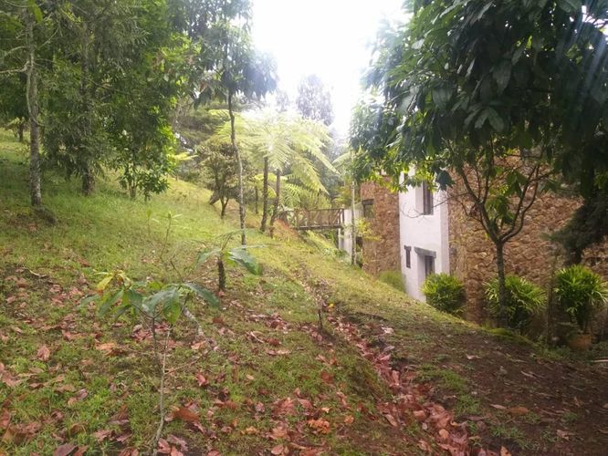Finca en venta en Suroriente, Rionegro - Miniatura 13