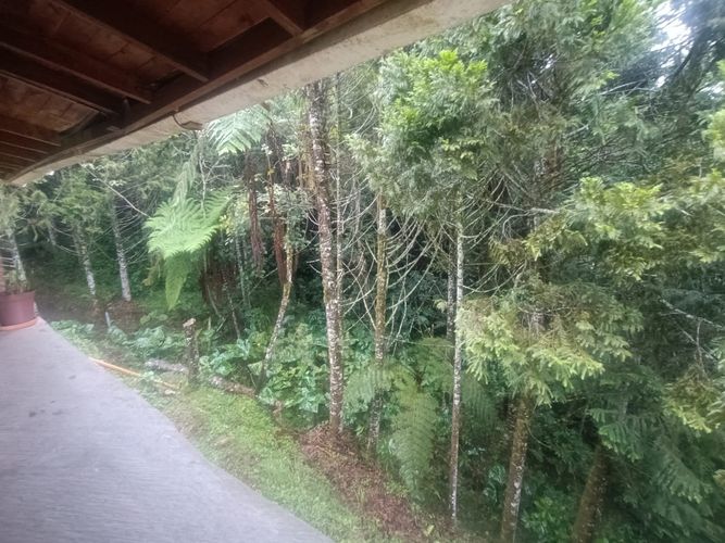 Finca en  Arriendo en Yolombal, Guarne - Miniatura 7