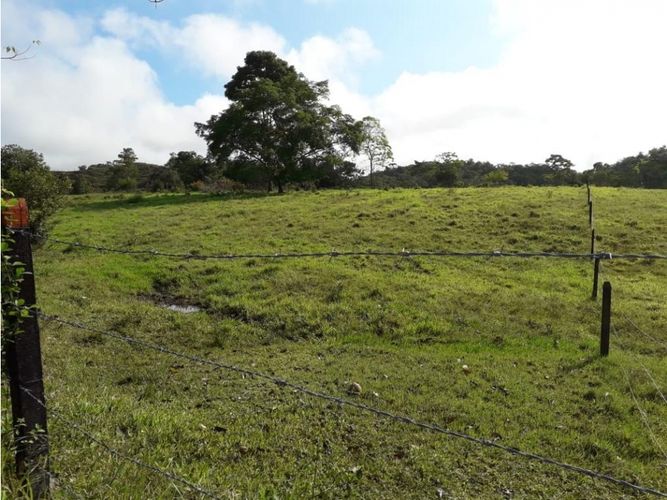 Finca en venta en Cimitarra - Miniatura 8