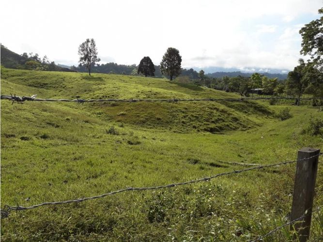 Finca en venta en Cimitarra - Miniatura 9