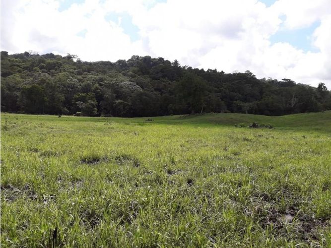 Finca en venta en Cimitarra - Miniatura 10