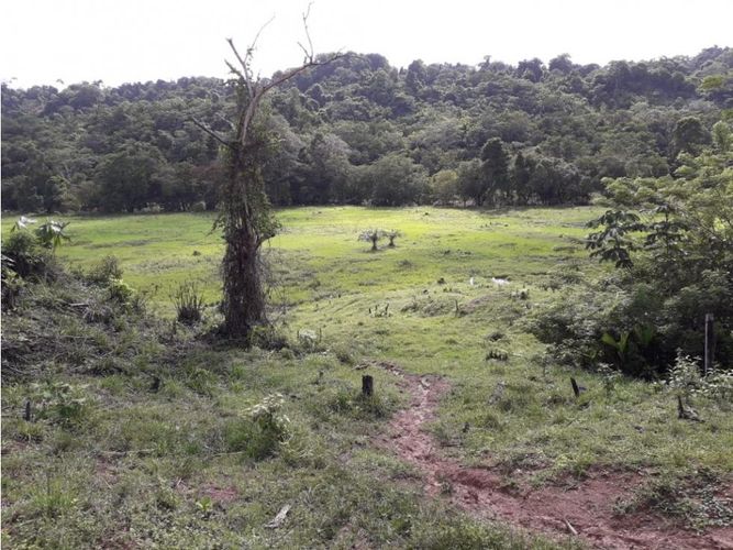 Finca en venta en Cimitarra - Miniatura 13