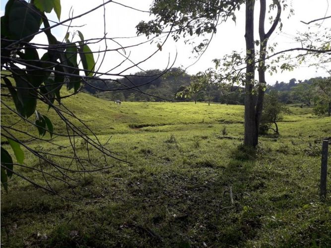 Finca en venta en Cimitarra - Miniatura 14