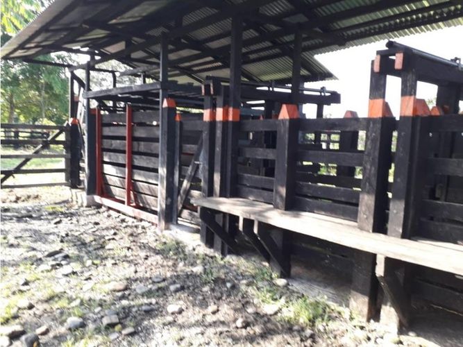 Finca en venta en Cimitarra - Miniatura 16
