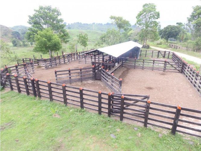 Finca en venta en Cimitarra - Miniatura 18