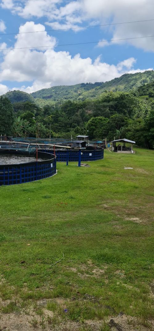 Finca en  Venta en Santander, El playon - Miniatura 3