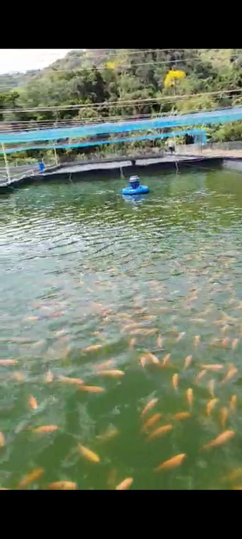 Finca en  Venta en Santander, El playon - Miniatura 4